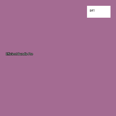 Efficient Bundle Premium