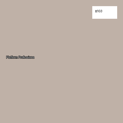 Platform Professional Mark3