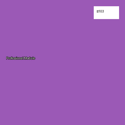 Professional Module V3 image 2