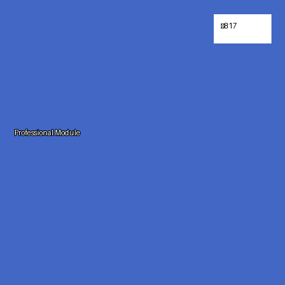 Professional Module V3