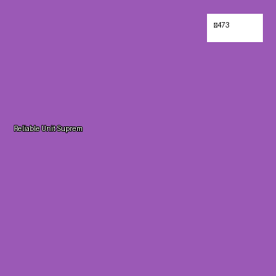 Reliable Unit Supreme image 3